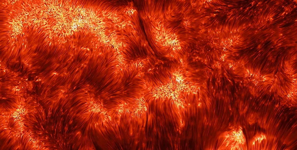 Swirling red and orange abstract forms