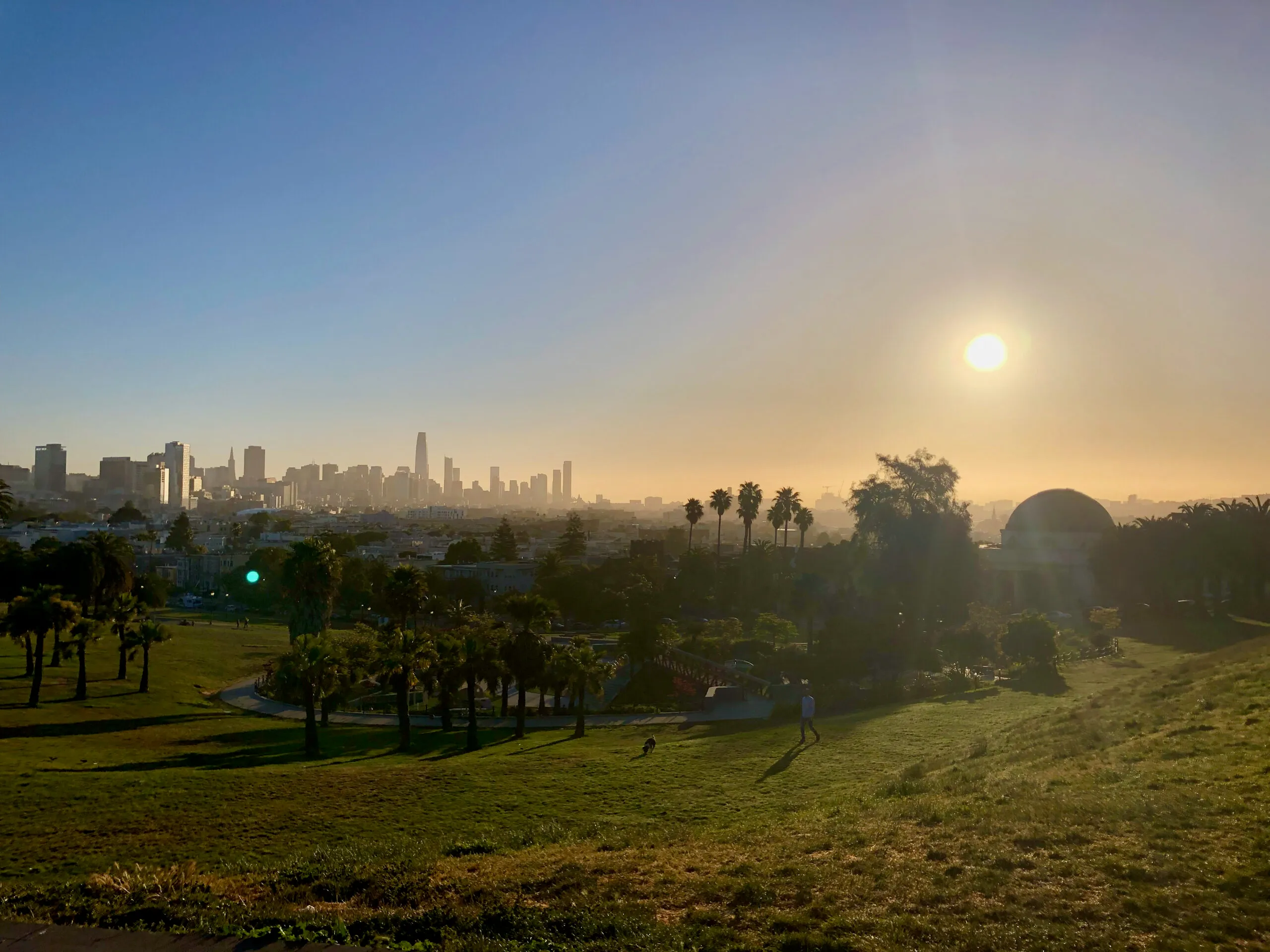 A man walking his dog through Dolores Park, with the San Francisco skyline in the late afternoon light